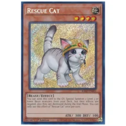 Rescue Cat (alternative art) - RA02-EN001 - Secret Rare 1st Edition