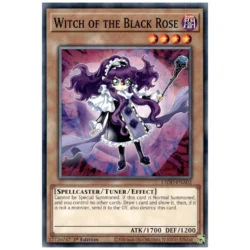 Witch of the Black Rose - L5DD-ENA02 - Common 1st Edition
