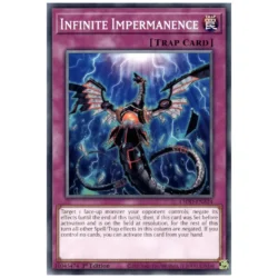 Infinite Impermanence - L5DD-ENA24 - Common 1st Edition