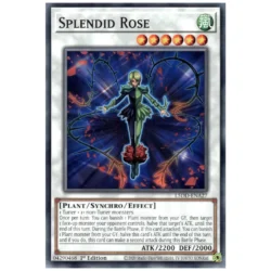 Splendid Rose - L5DD-ENA27 - Common 1st Edition