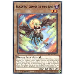 Blackwing - Chinook the Snow Blast - L5DD-ENC14 - Common 1st Edition