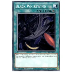 Black Whirlwind - L5DD-ENC19 - Common 1st Edition
