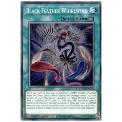 Black Feather Whirlwind - L5DD-ENC22 - Common 1st Edition