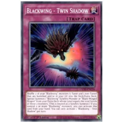 Blackwing - Twin Shadow - L5DD-ENC26 - Common 1st Edition