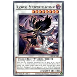 Blackwing - Silverwind the Ascendant - L5DD-ENC29 - Common 1st Edition