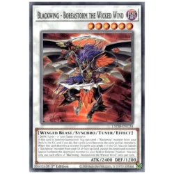 Blackwing - Boreastorm the Wicked Wind - L5DD-ENC34 - Common 1st Edition