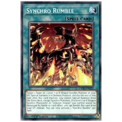 Synchro Rumble - L5DD-ENY22 - Common 1st Edition